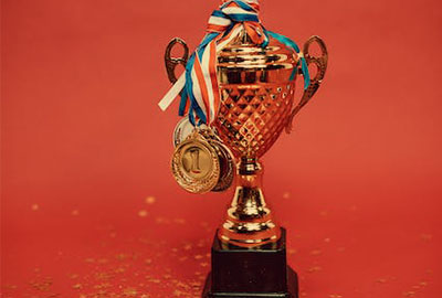 扬州绿宝人造草坪有限公司(图2)