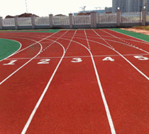 扬州绿宝人造草坪有限公司(图5)