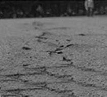 扬州绿宝人造草坪有限公司(图6)