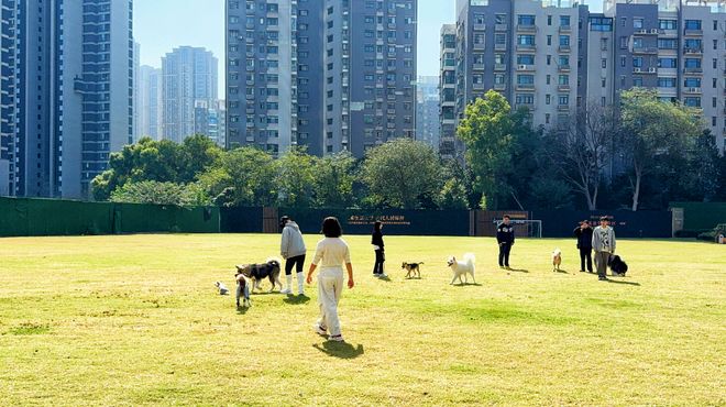 硚口区又添一批网红打卡地 韩家墩街道两块闲置用地筑景缀绿“闪亮登场”(图4)