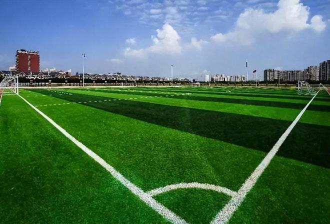 加厚的人造草坪多少钱一平(图1)