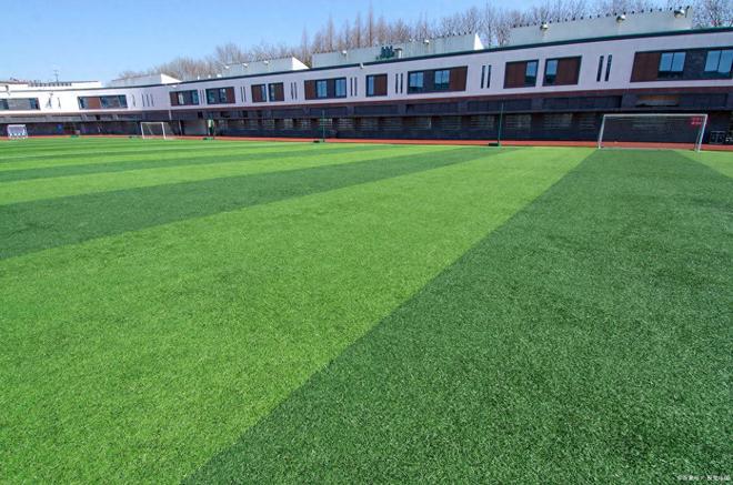 加厚的人造草坪多少钱一平(图6)