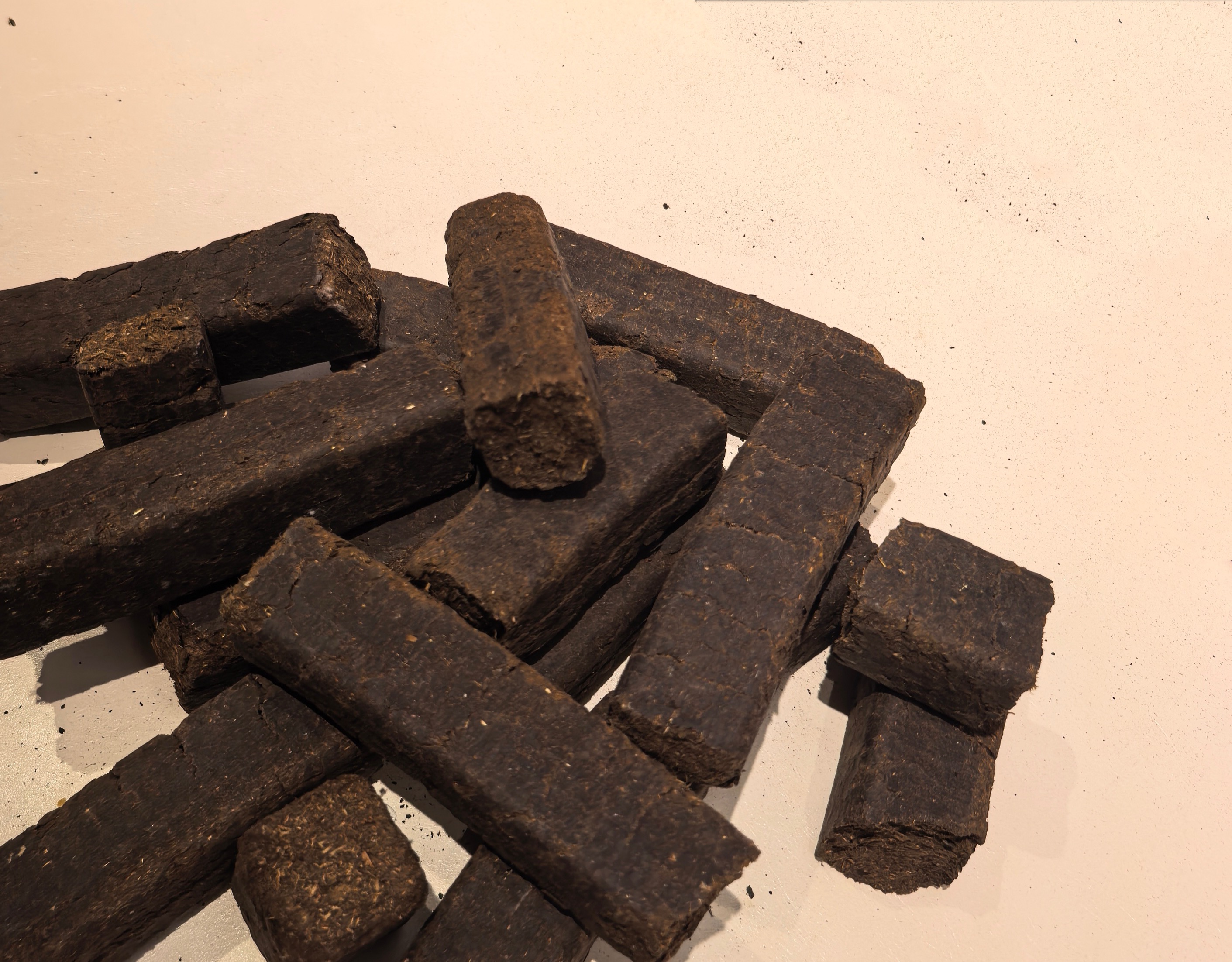 【人物】马尚尚：共筑山海情(图2)