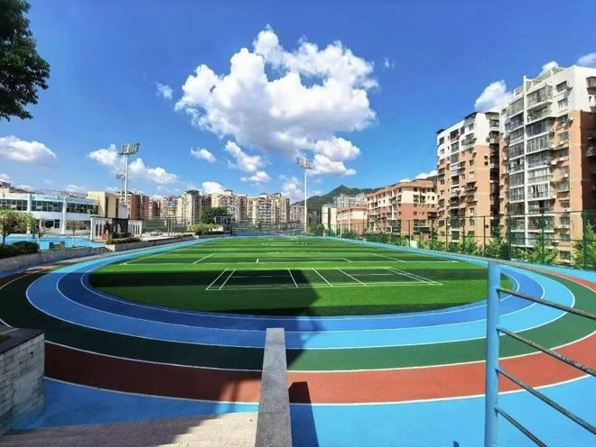 校园足球场人造草坪选择秘籍大公开！(图2)