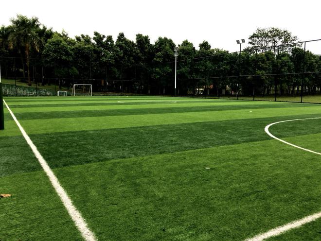 校园足球场人造草坪选择秘籍大公开！(图3)