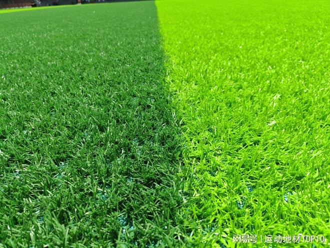 2025年人造草坪品牌权威排名人造草坪厂家十大品牌(图1)