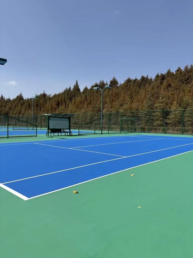 丙烯酸 vs 硅PU：丙烯酸这三个优点硅PU比不了(图1)