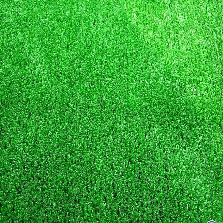 共创草坪涨310%成交额304743万元主力资金净流入4148万元(图1)