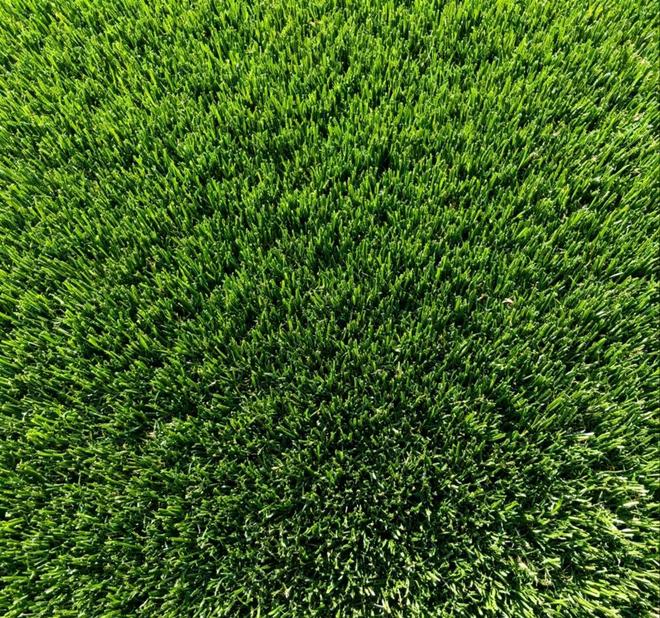 权威盘点！2025年人造草坪十大品牌榜单出炉谁是行业领头羊？(图1)