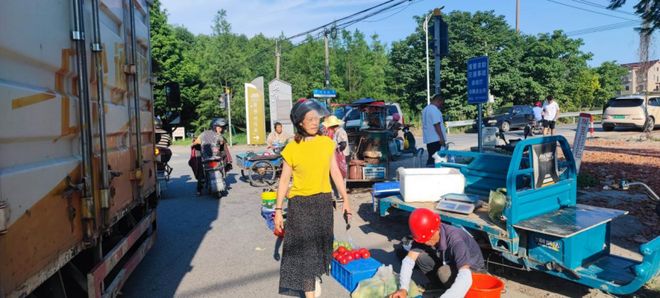 从“乱点”到“亮点”白鹤镇环境整治绘就宜居新画卷(图1)