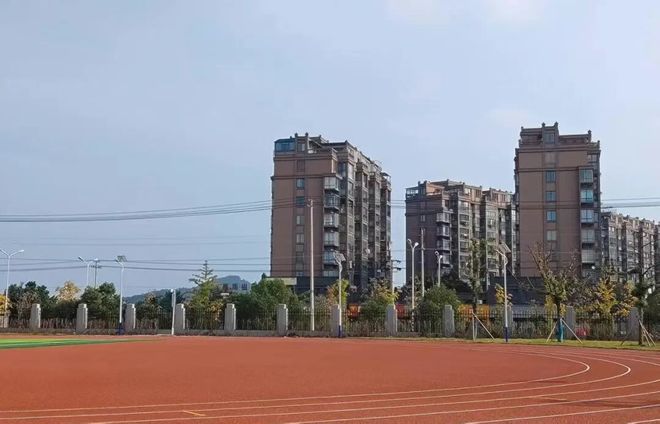 公益金赋能教育 新操场见证蜕变——中央专项彩票公益金助力枞阳两校运动场焕新升级(图5)