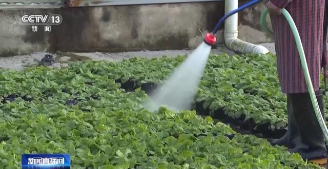 “300米见绿500米见园” 成都打造长效发展“千园之城”(图13)