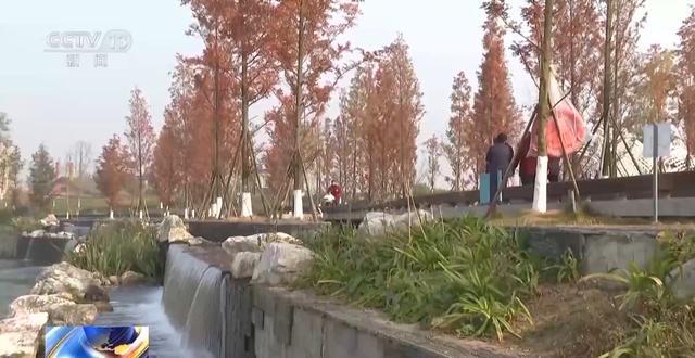 “300米见绿500米见园” 成都打造长效发展“千园之城”(图20)