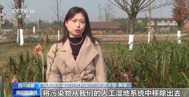 “300米见绿500米见园” 成都打造长效发展“千园之城”(图19)