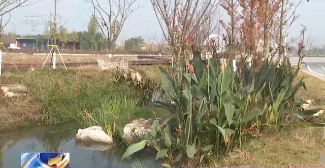 “300米见绿500米见园” 成都打造长效发展“千园之城”(图18)