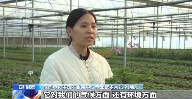 “300米见绿500米见园” 成都打造长效发展“千园之城”(图14)