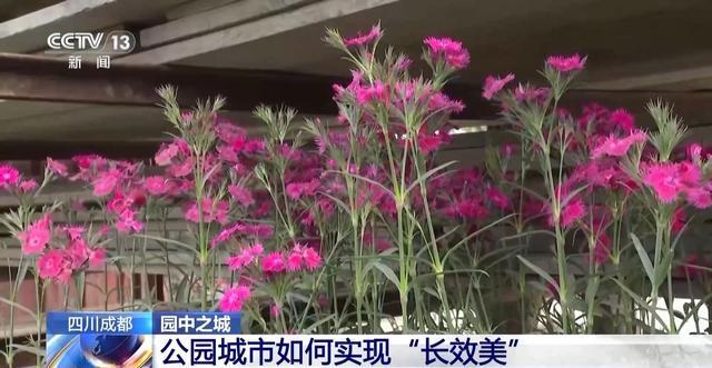 “300米见绿500米见园” 成都打造长效发展“千园之城”(图15)