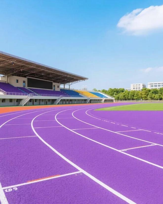 塑胶跑道摊铺厚度标准不同场地有讲究(图1)