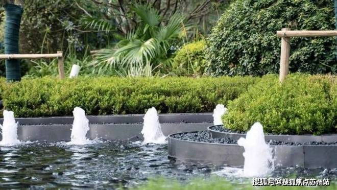 优质房源✨仁恒滨湖湾售楼处电话▷滨湖湾教育资源@官方网站！(图10)