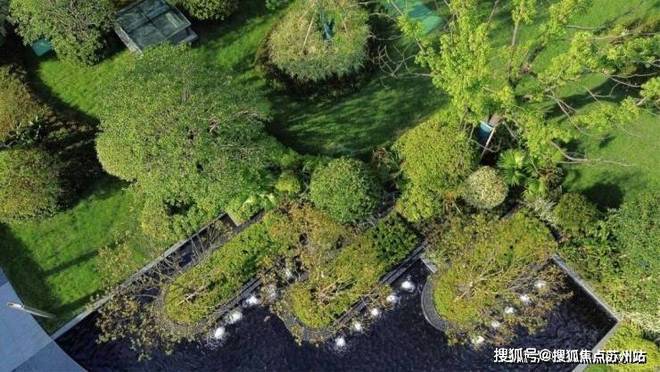 优质房源✨仁恒滨湖湾售楼处电话▷滨湖湾教育资源@官方网站！(图13)