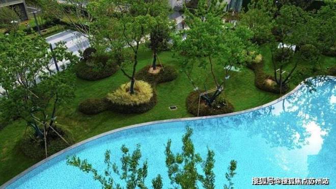 优质房源✨仁恒滨湖湾售楼处电话▷滨湖湾教育资源@官方网站！(图14)