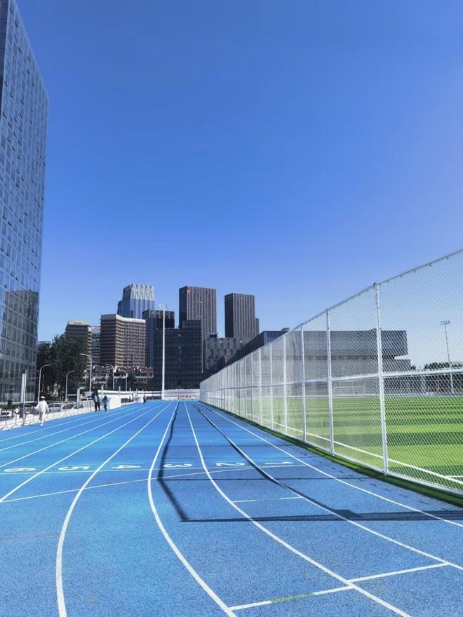 混合型塑胶跑道的平整度：决定运动体验的关键(图3)