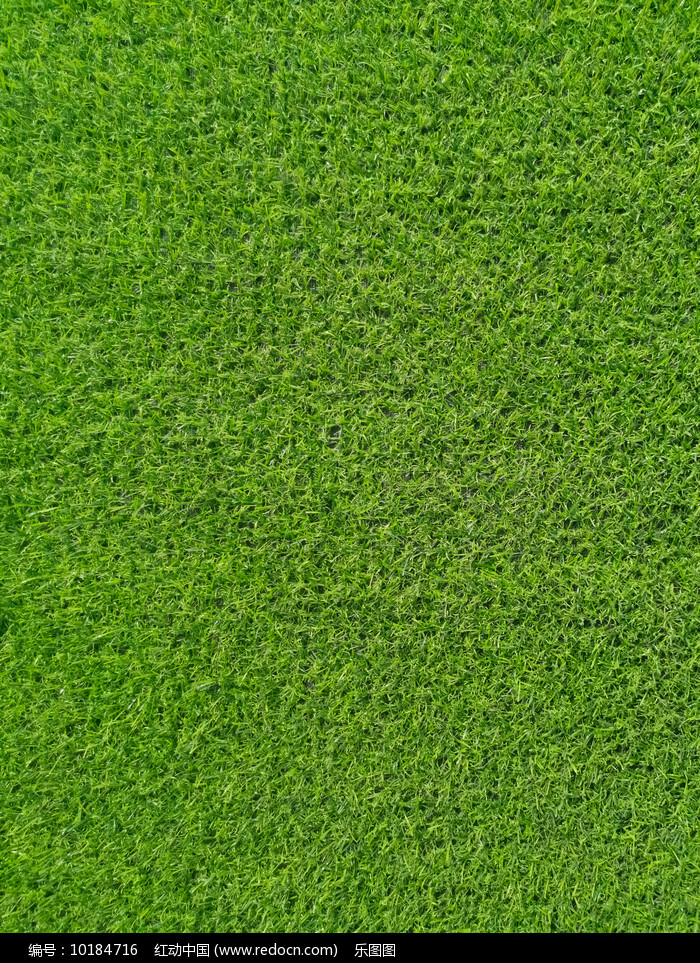 这只人造草坪龙头(20251216)(图1)