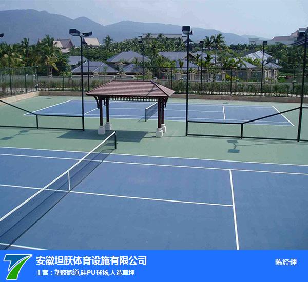 安徽坦跃公司品质保障 硅pu球场厂家 淮南硅pu球场(图2)