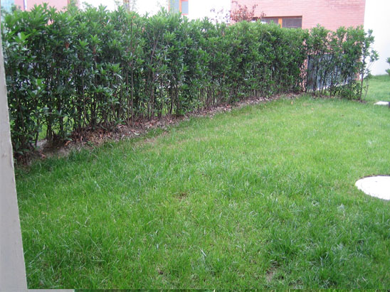 长沙县143块闲置地“清零” 交出全域治理新答卷(图1)