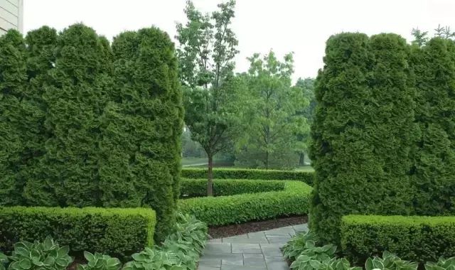 新发路观察•2025年终特别报道⑦｜拆围透绿还绿于民(图1)