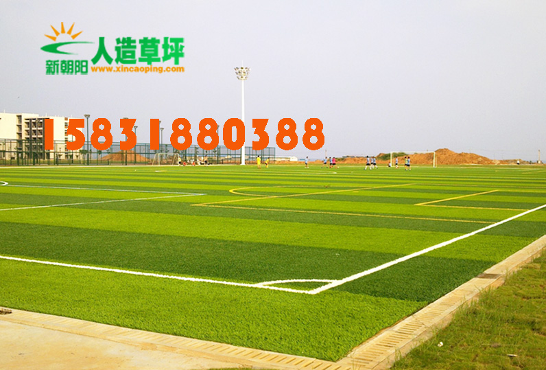 共创草坪（605099）披露使用部分闲置自有资金进行现金管理12月30日股价下跌037%(图1)