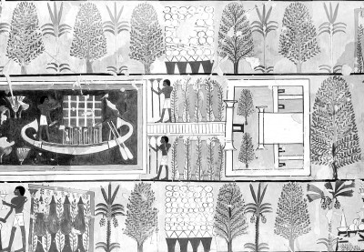 古代外国文明中的植物园(图1)