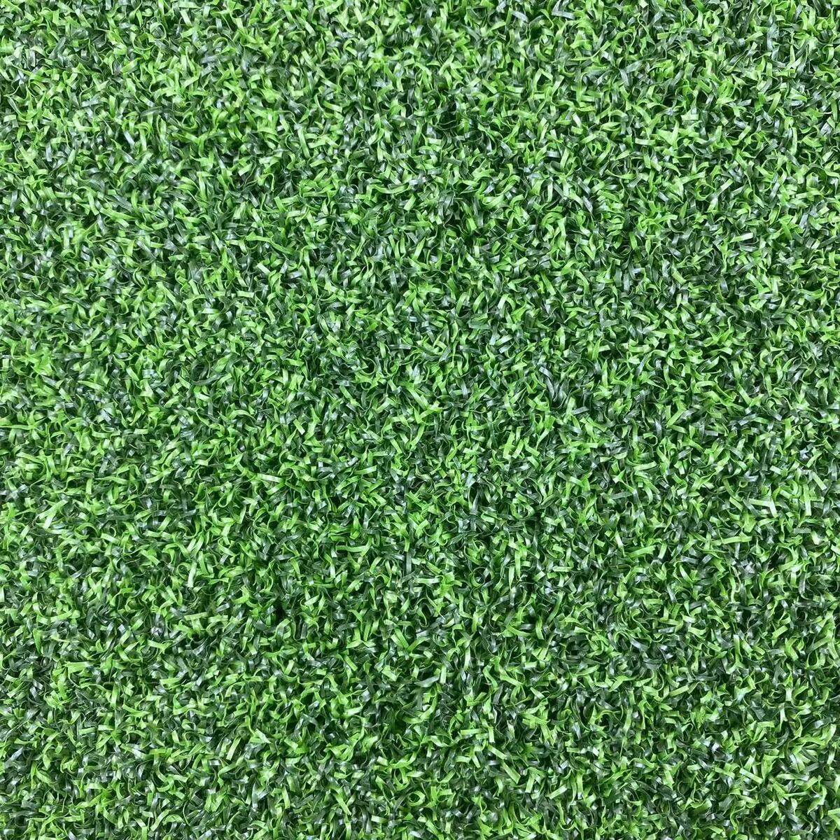 港媒：400公里跨海送菜三沙居民“菜篮子”升级(图1)