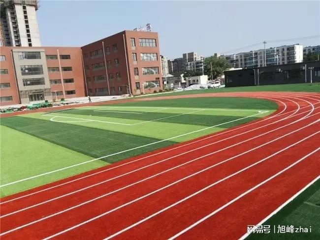 2026年学校操场塑胶跑道专业厂家产品性能评测报告(图1)