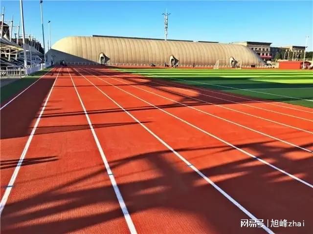 2026透气式塑胶跑道应用白皮书校园场地篇(图4)