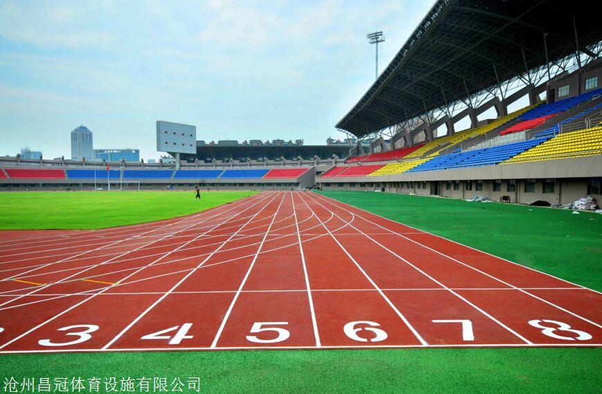 操场塑胶跑道铺设厂家(图3)