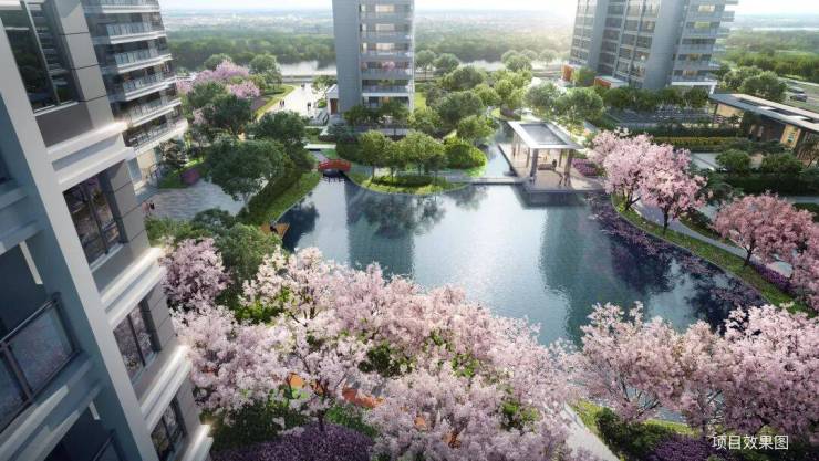 和风雅信-和风雅信：高铁新城日系精工大宅双500强联袂匠造限购放开抢占价值高地(图5)