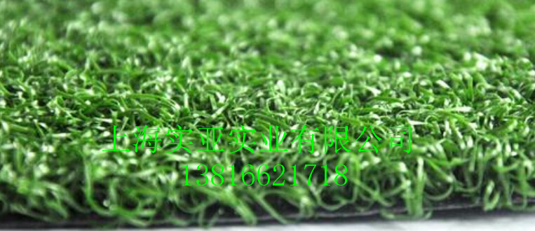 甘肃厂家供应人造草坪甘肃人造草坪优质(图1)