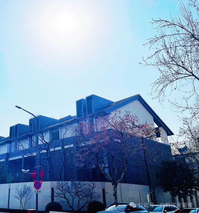 南京热搜豪宅@门东VILLA官方售楼处发布： 以品质驱动热度！(图4)