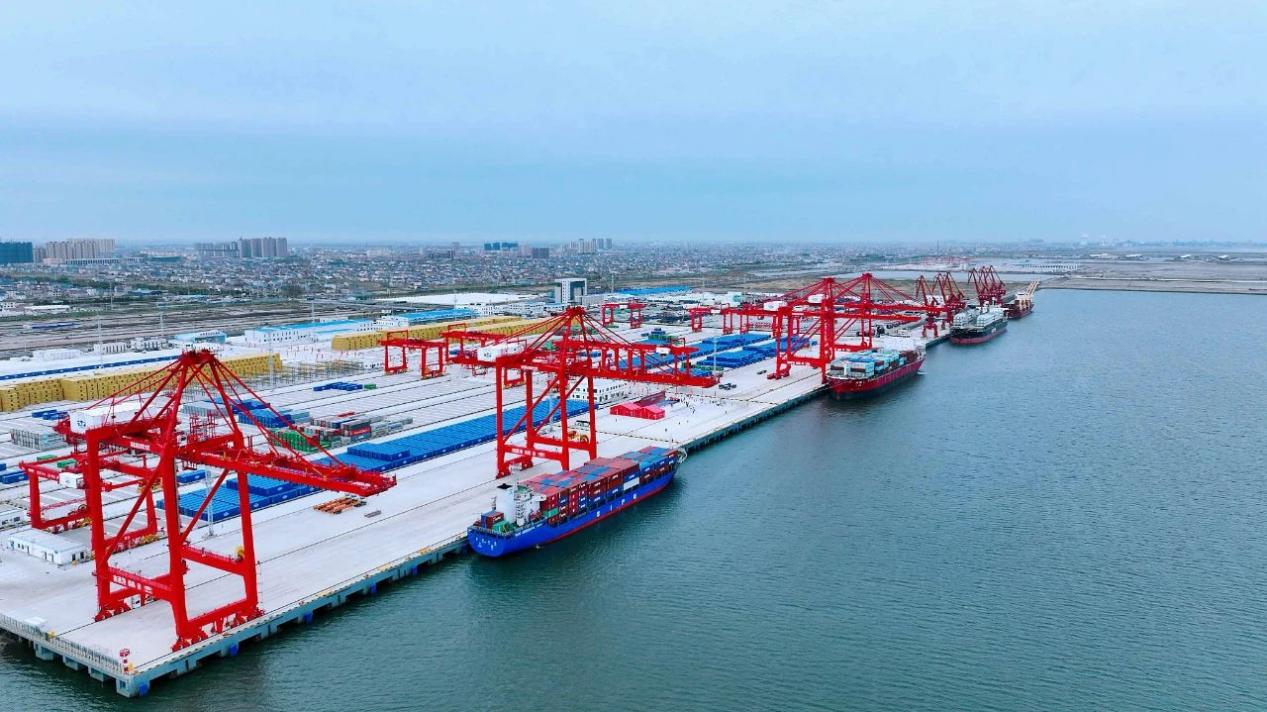 江苏启东：东方大港“向海高歌”“拼”出高质量发展壮阔图景(图1)
