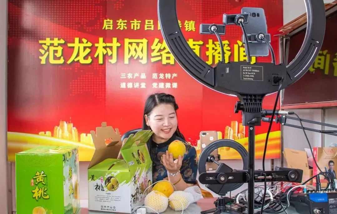 江苏启东：东方大港“向海高歌”“拼”出高质量发展壮阔图景(图6)