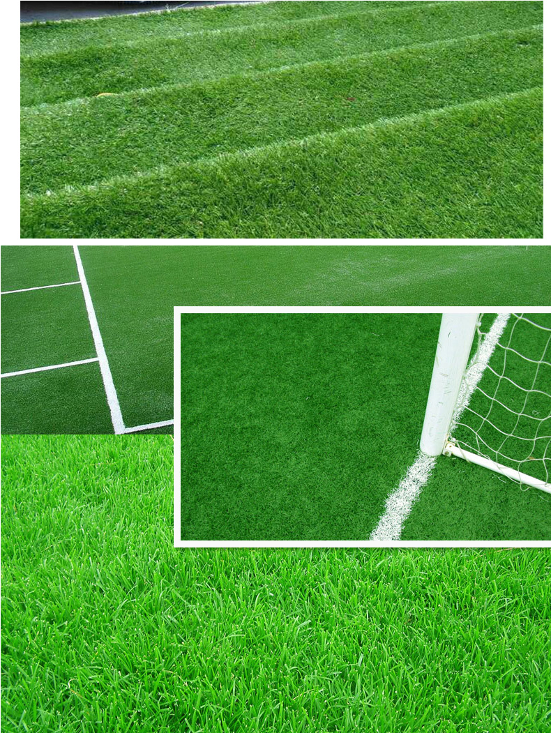 共创草坪：公司一直密切关注国内外足球赛事积极探索合作机会(图1)