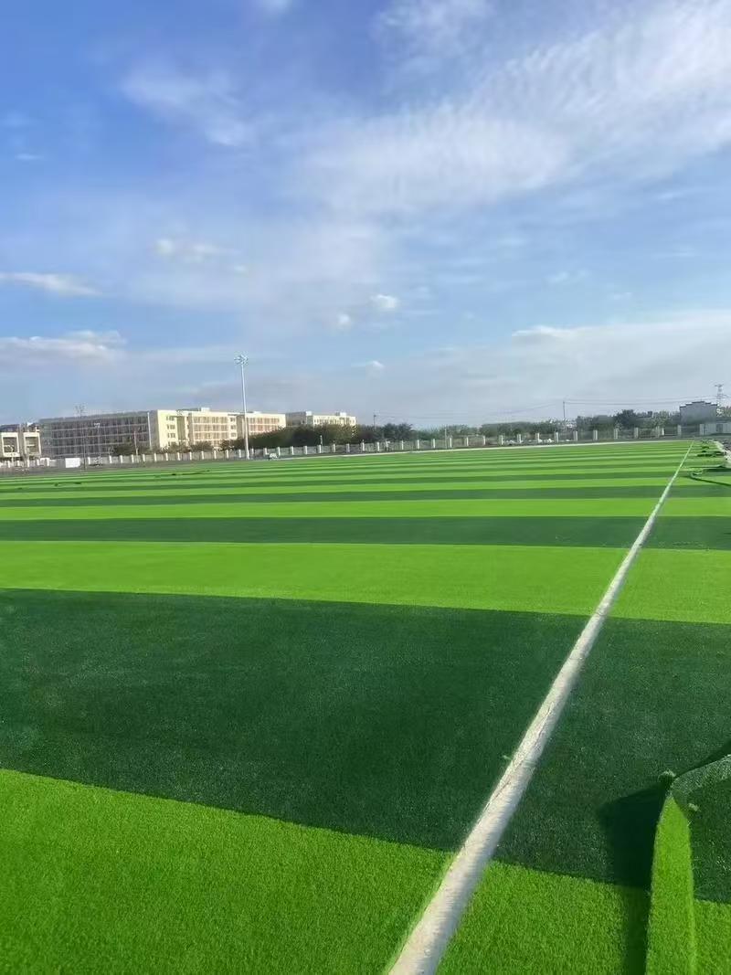 2026年湖北塑胶跑道施工市场：实力厂家深度解析与专业选型指南(图3)