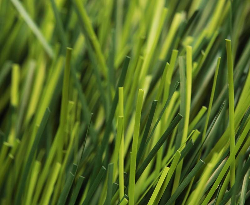 2026年沧州人造草坪选型指南：专业标准与五大服务商深度解析(图1)