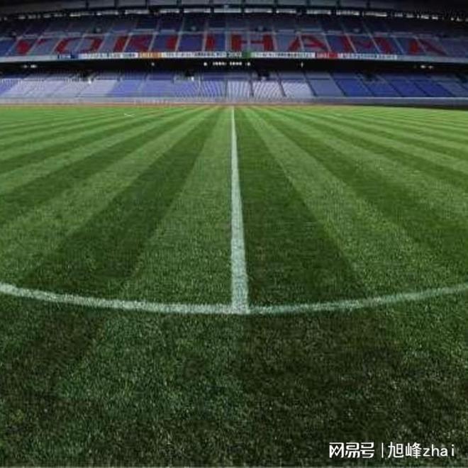 足球场人造草坪厂家优质选择参考(图2)