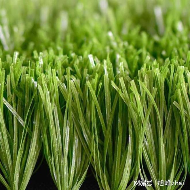 足球场人造草坪厂家优质选择参考(图1)