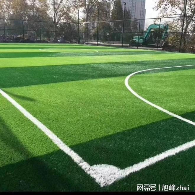 足球场人造草坪厂家优质选择参考(图3)