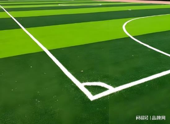 2026塑胶跑道十大品牌权威发布 十大塑胶跑道厂家排名 chinapp(图2)