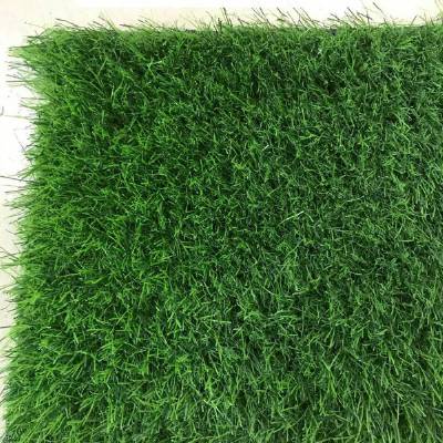 宿迁的苏超大战背后的草坪竟然是江苏淮安产的！还走向了全球(图1)