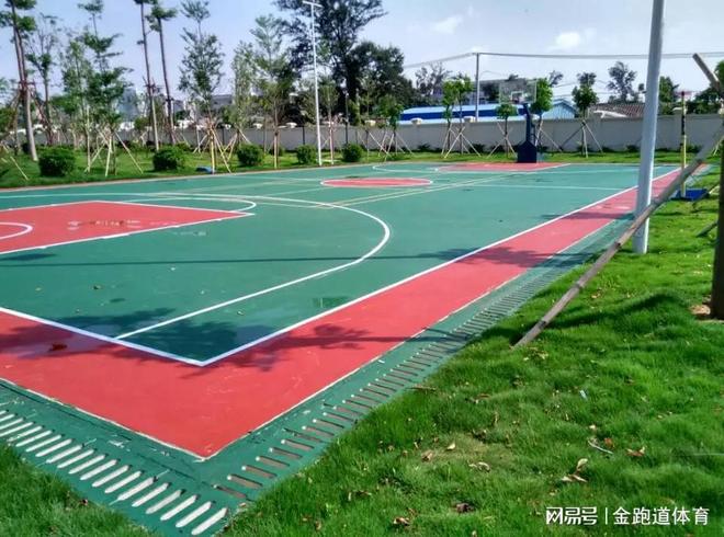 硅PU球场：新时代运动场地的兴起(图3)
